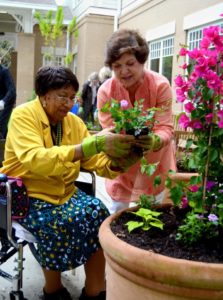 Pine Tree Garden Club