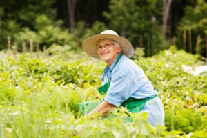 horticultural therapy for seniors Atlanta GA