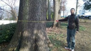 January 21, 2016-Record-Setting Tree, A.G. Rhodes