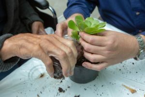 Horticultural Therapy Participants Ask, “Does it Bloom?”, A.G. Rhodes