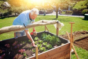 Horticultural Therapy: a Growing Trend!, A.G. Rhodes