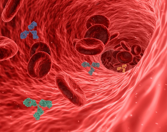 Artery Health