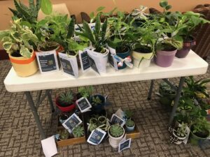 Plant Project Makes Positive Impact, A.G. Rhodes