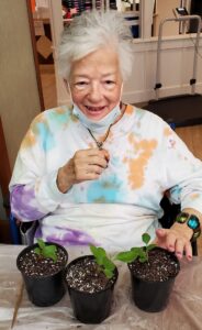 A Threatened Plant Thrives with Help from Nursing Home Residents, A.G. Rhodes