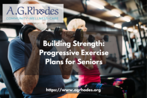 exercise plans for seniors