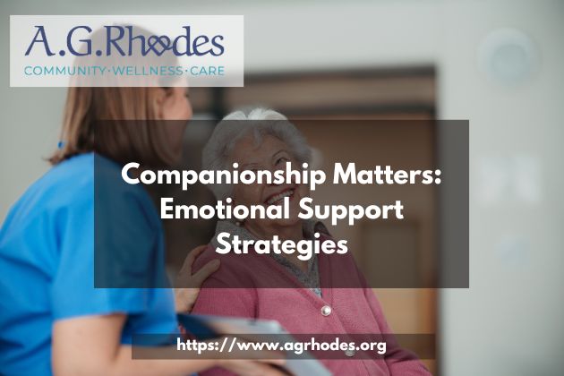 Companionship Matters: Emotional Support Strategies
