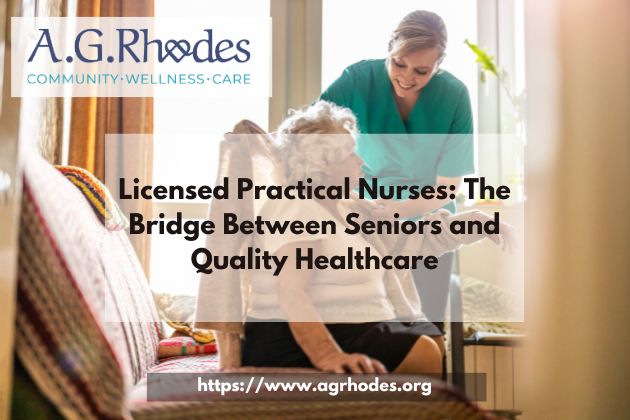 Licensed Practical Nurses: The Bridge Between Seniors and Quality Healthcare